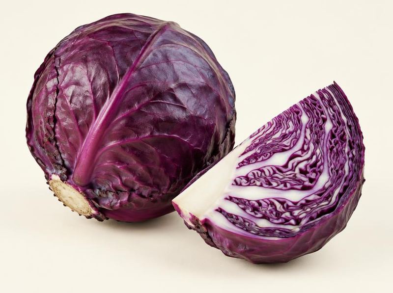 Red cabbage
